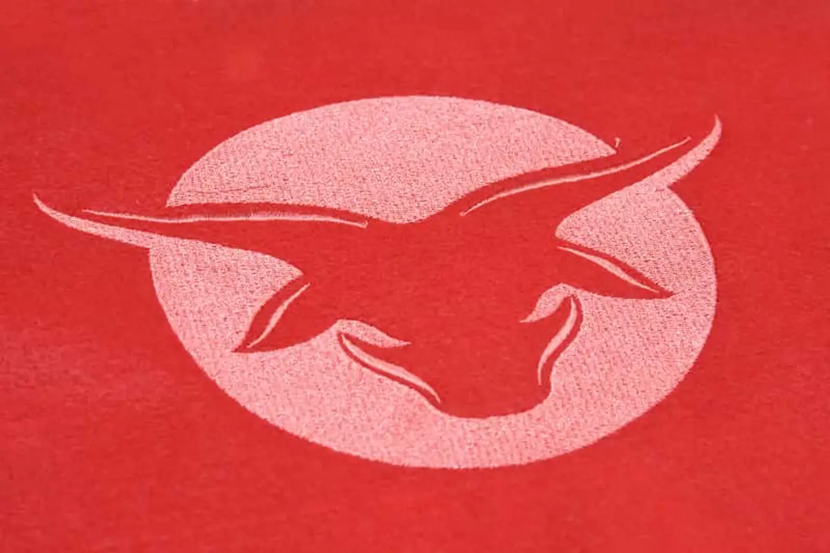 Stierkopf Logo rot Stick – Bild 4