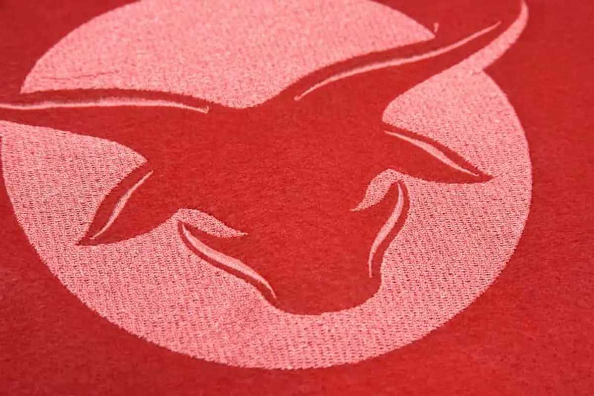 Stierkopf Logo rot Stick – Bild 5