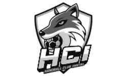 Logo HCI Handball Club Inntal – Graustufen-Version