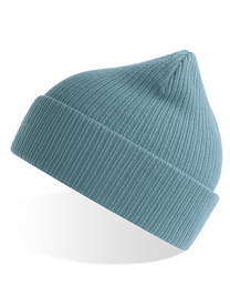 Nelson Beanie (Hover)