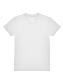 #E150 V T-Shirt (Hover)