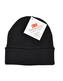 Thinsulate Beanie (Hover)