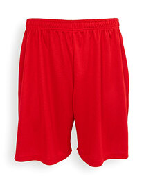 Kids Evolution Shorts