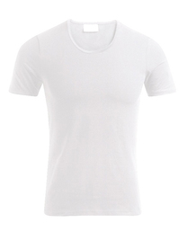 Men´s Slim Fit-T (Hover)