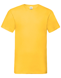 Valueweight V-Neck T (Hover)