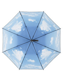 AC-Stockschirm FARE® Impressions (Hover)