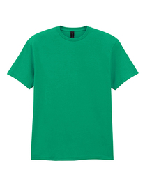 Softstyle® CVC Adult T-Shirt (Hover)