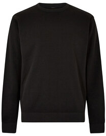 Regular Fit Sweatshirt (Hover)