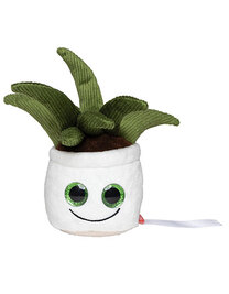 Schmoozies® Evergreenies® Aloe Vera