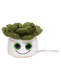 Schmoozies® Evergreenies® Sukkulente