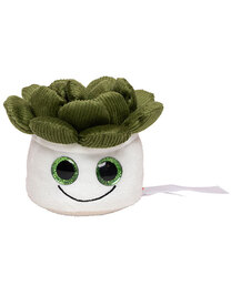 Schmoozies® Evergreenies® Sukkulente (Hover)