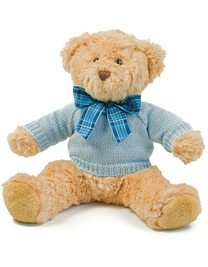 Teddy Jumper