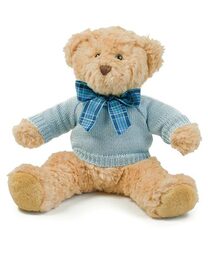 Teddy Jumper (Hover)