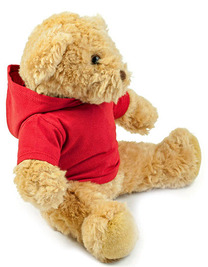 Teddy Hoodie