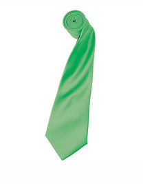 Colours Collection Satin Tie (Hover)