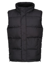 Northdale Insulated Bodywarmer (Hover)