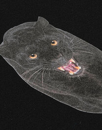 CAD-COLOR® Solvent Flock