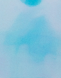 CAD-CUT® Disco (Hover)