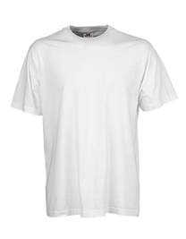 Basic Tee (Hover)